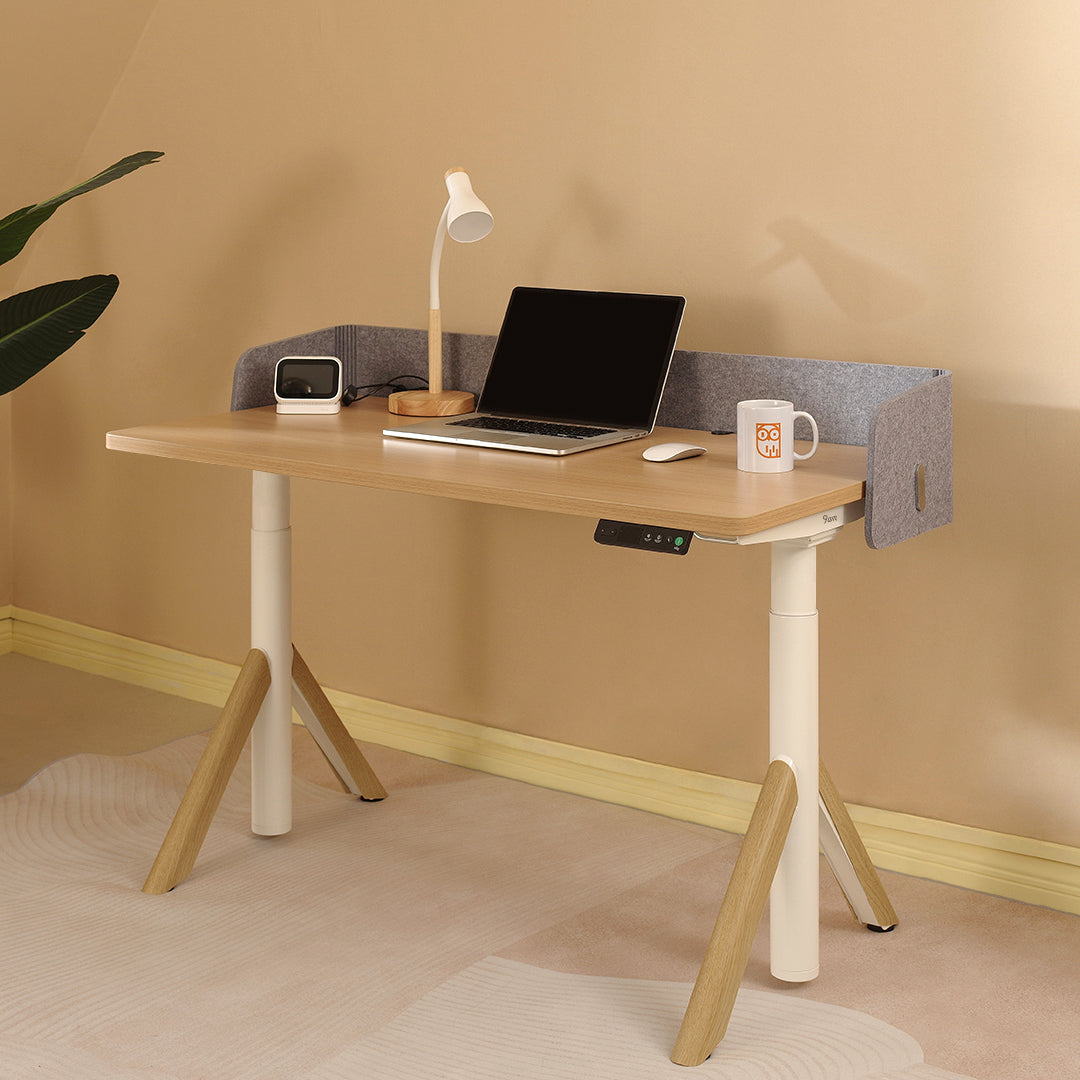 Robin Melamine Dual Motors Home Office Sit Standing Desk