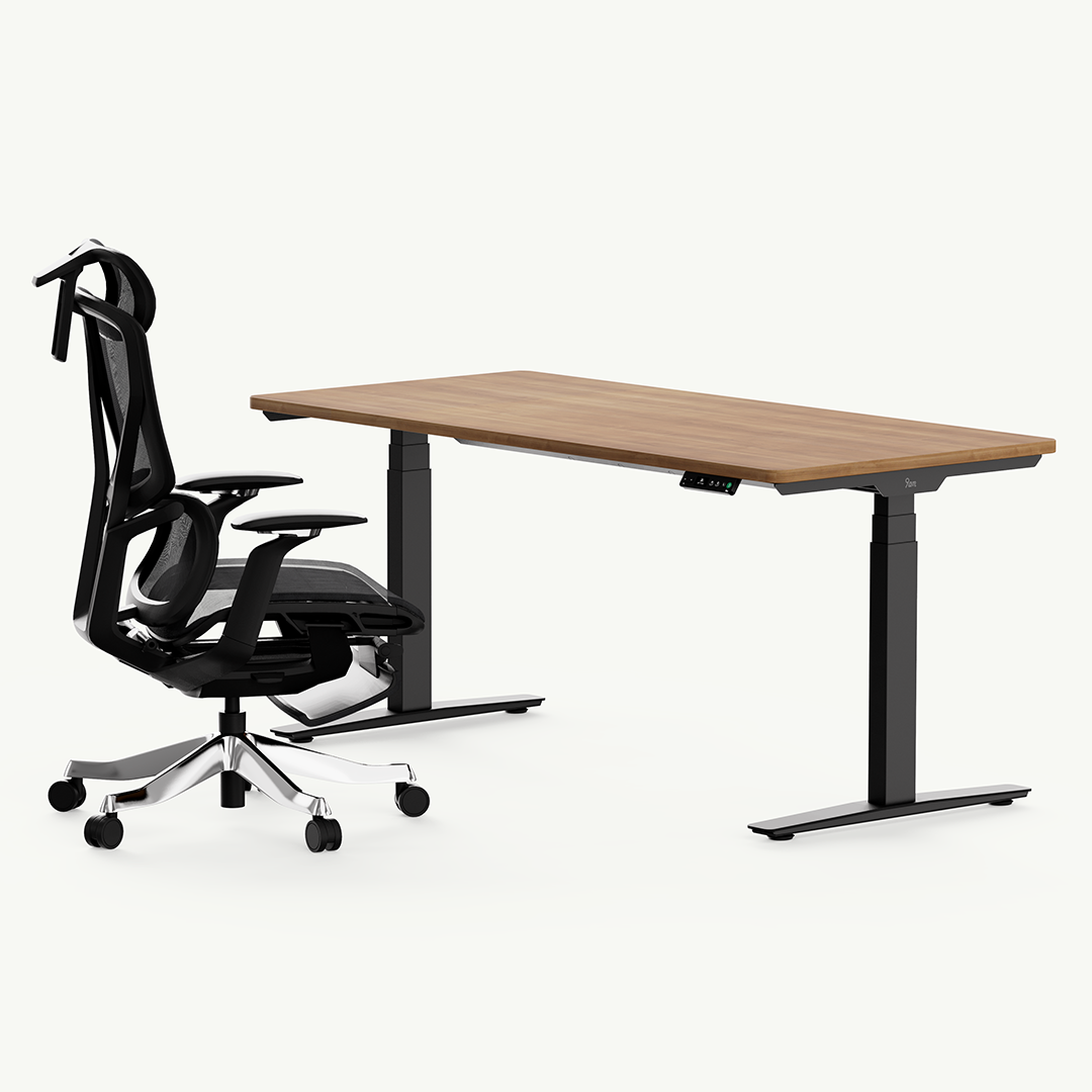 Classic Pesk Standing Desk and Galileo Chair Set