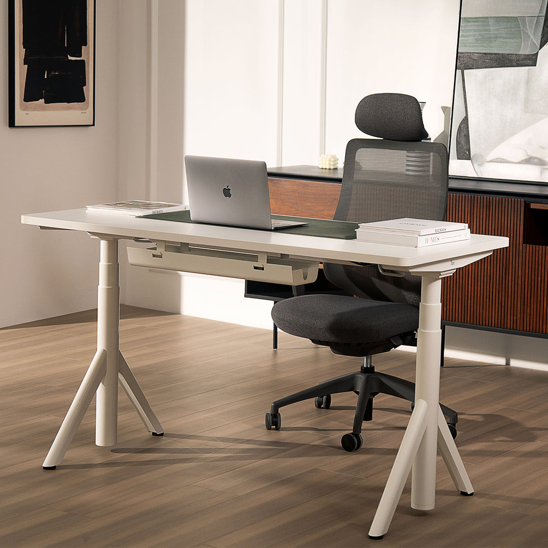 Robin Pro Standing Desk and Ergonomic Chair Set