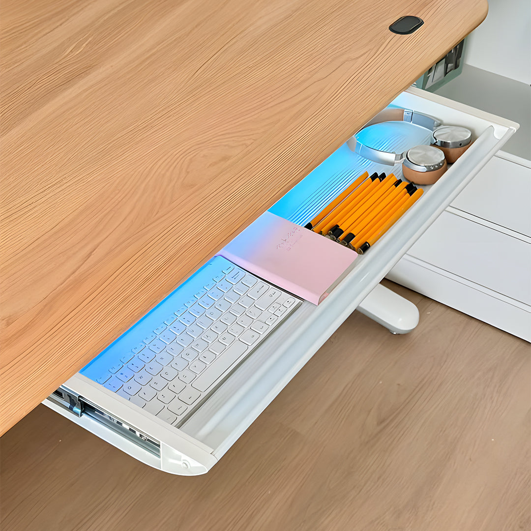 Dora Pro Modern Smart Electric Standing Desk