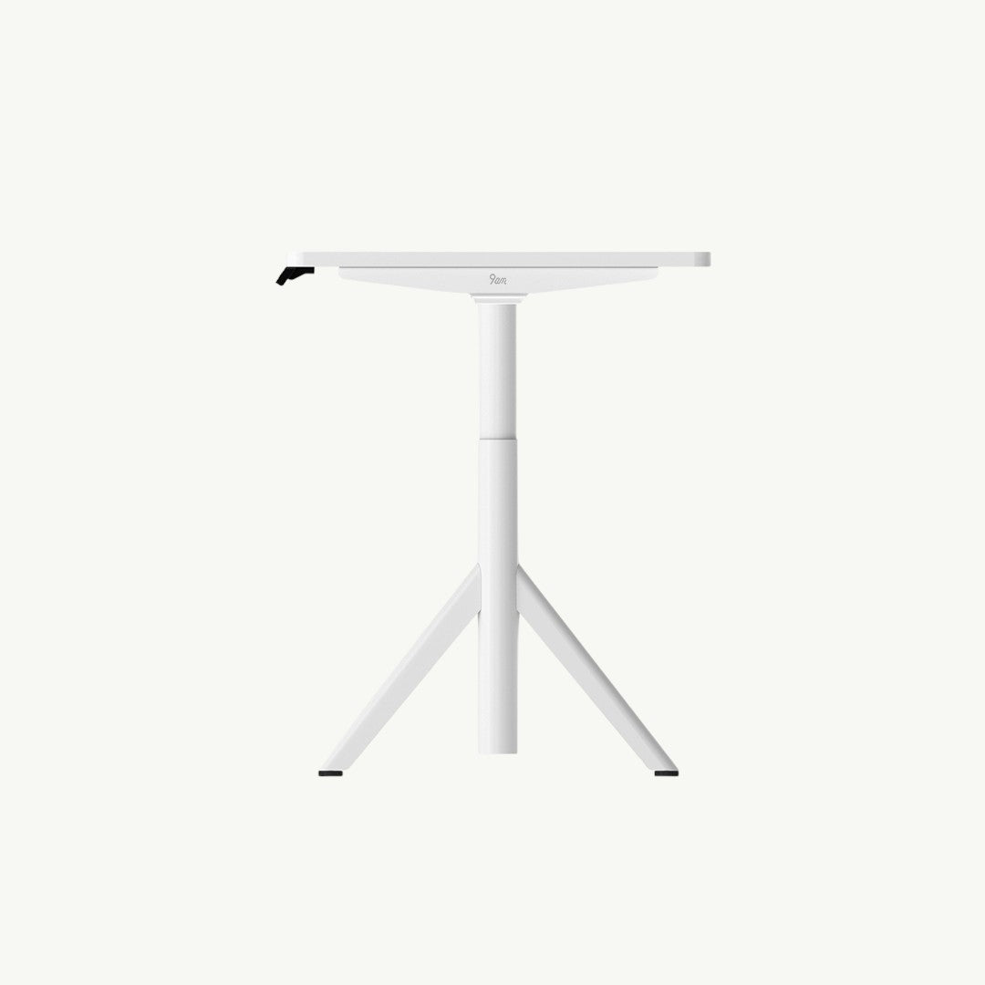 Robin Melamine Dual Motors Home Office Sit Standing Desk